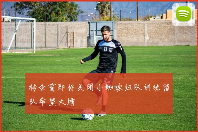 转会窗即将关闭小蜘蛛归队训练留队希望大增